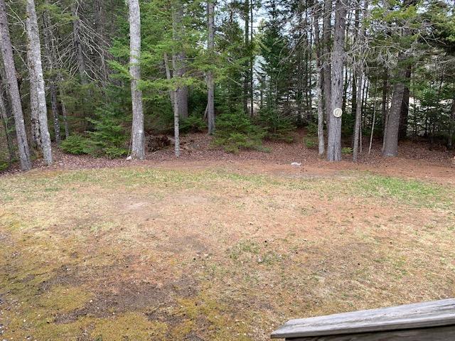 130 Bert Gray Road Sullivan, ME 04664 - Photo 30 of 30 IMG_3633