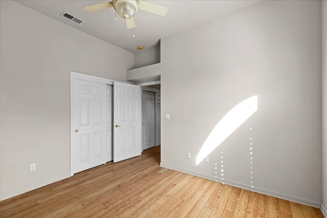 a view of a park with plants and trees