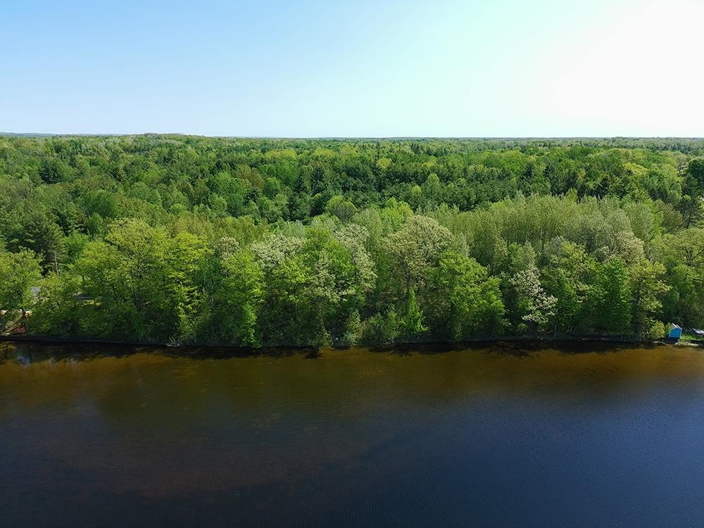 V/l Bass Lake Road Lupton, MI 48635 - Photo 10 of 15