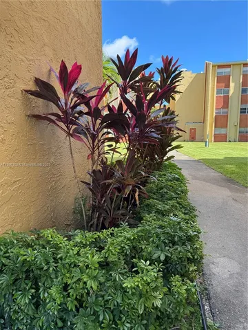 a view of a house with a plants and a bench