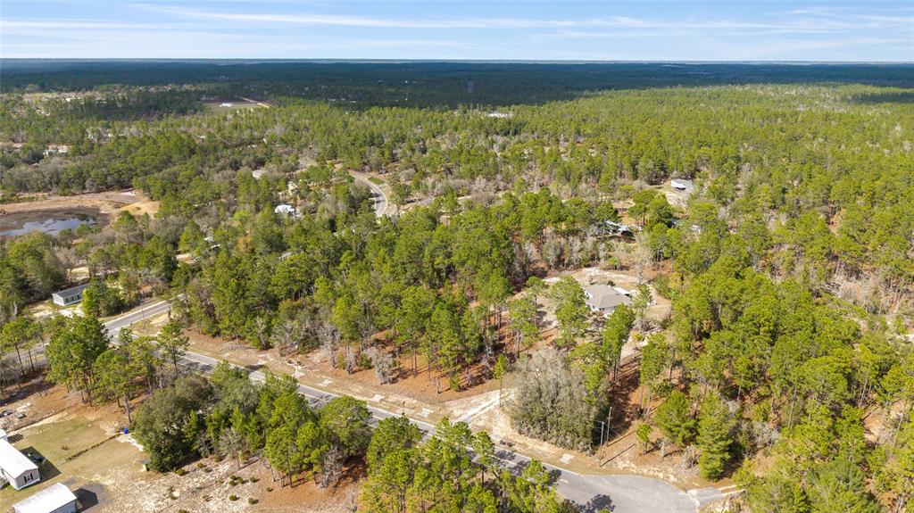 102 Whirlwind Way Hawthorne, FL 32640 - Photo 56 of 67