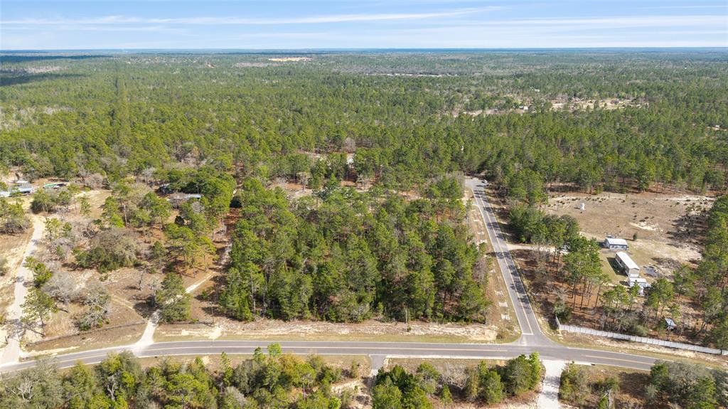 102 Whirlwind Way Hawthorne, FL 32640 - Photo 59 of 67