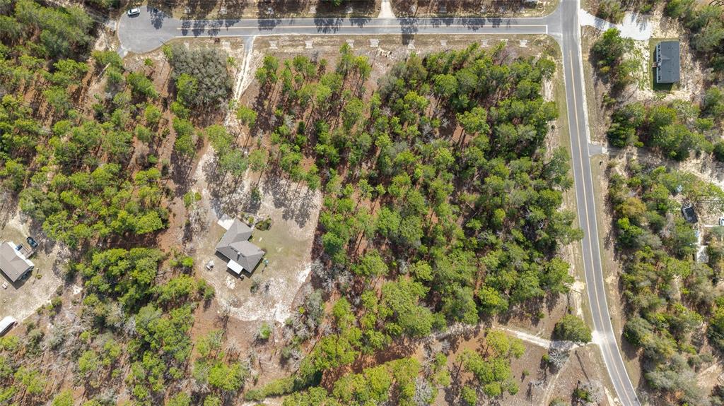 102 Whirlwind Way Hawthorne, FL 32640 - Photo 64 of 67