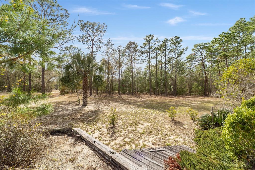 102 Whirlwind Way Hawthorne, FL 32640 - Photo 65 of 67