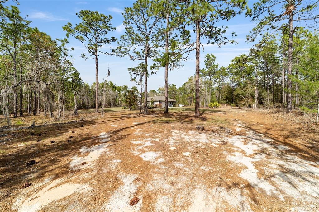 102 Whirlwind Way Hawthorne, FL 32640 - Photo 66 of 67