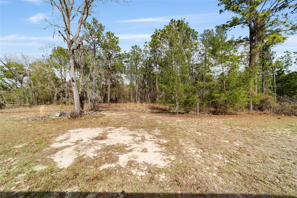 102 Whirlwind Way Hawthorne, FL 32640 - Photo 67 of 67