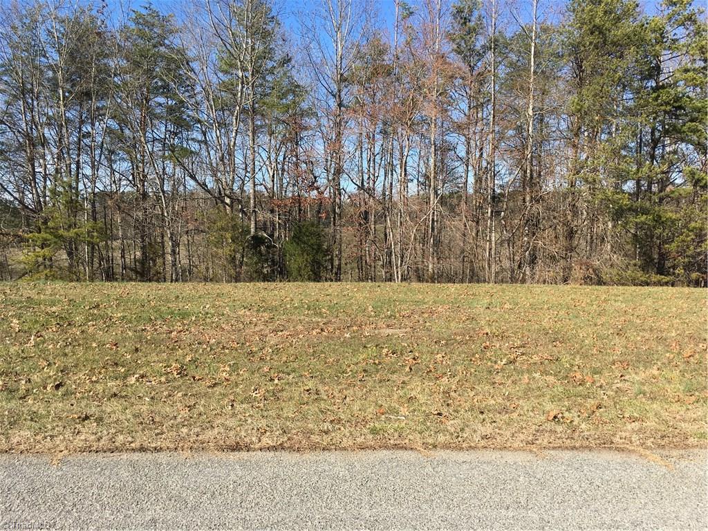 Tbd Oscar Hill Road Dobson, NC 27017 - Photo 1 of 4 Gallery Image 1