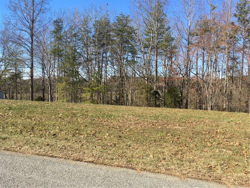 Tbd Oscar Hill Road Dobson, NC 27017 - Photo 4 of 4 Gallery Image 4