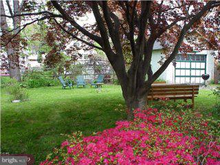 138 Rockland Road Havertown, PA 19083 - Photo 4 of 6 a picture of flowers