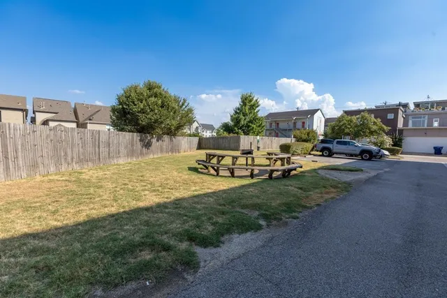 a row of palm trees and a yard