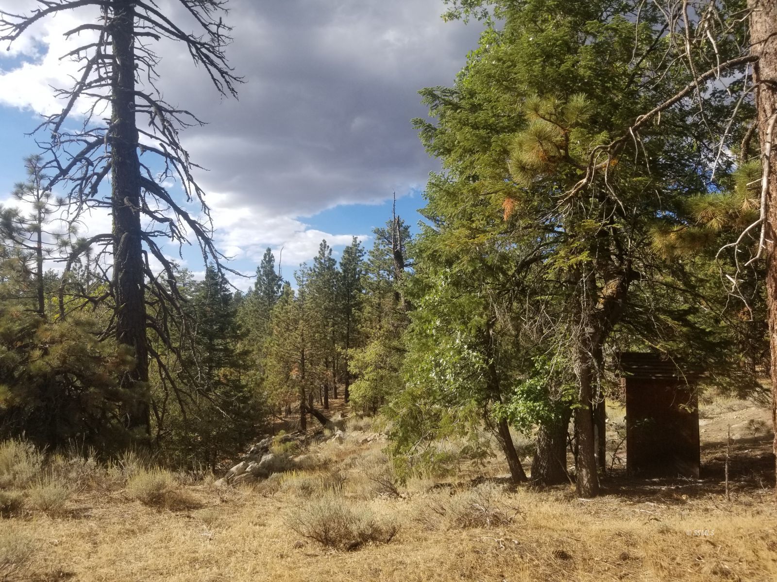 Piute Pines Caliente, CA 93518 - Photo 17 of 26