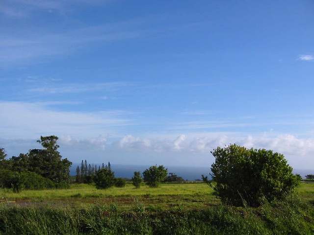 a view of a lake