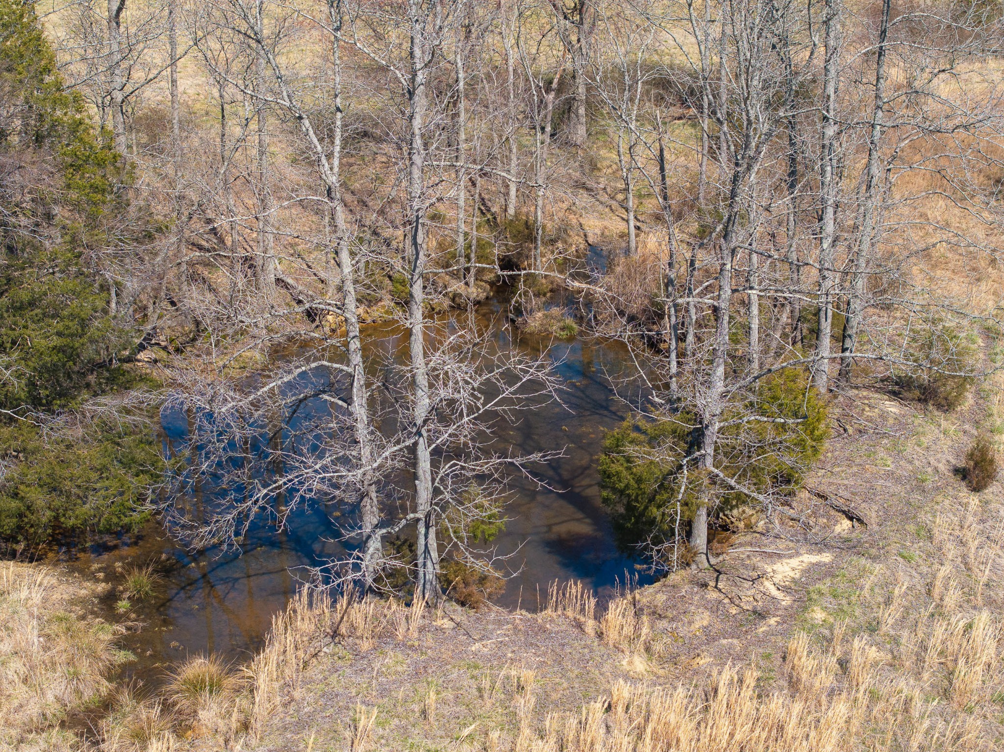 1375 McGee Road Decaturville, TN 38329 - Photo 30 of 47 Gallery Image 30