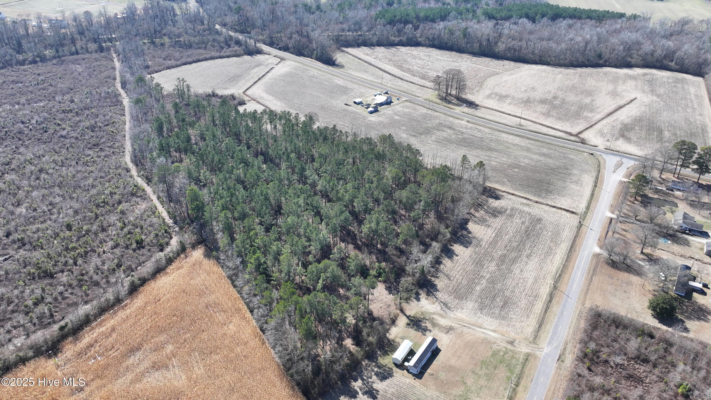 0 Cal Jones Road Ayden, NC 28513 - Photo 14 of 22 DJI_20250223123500_0536_D