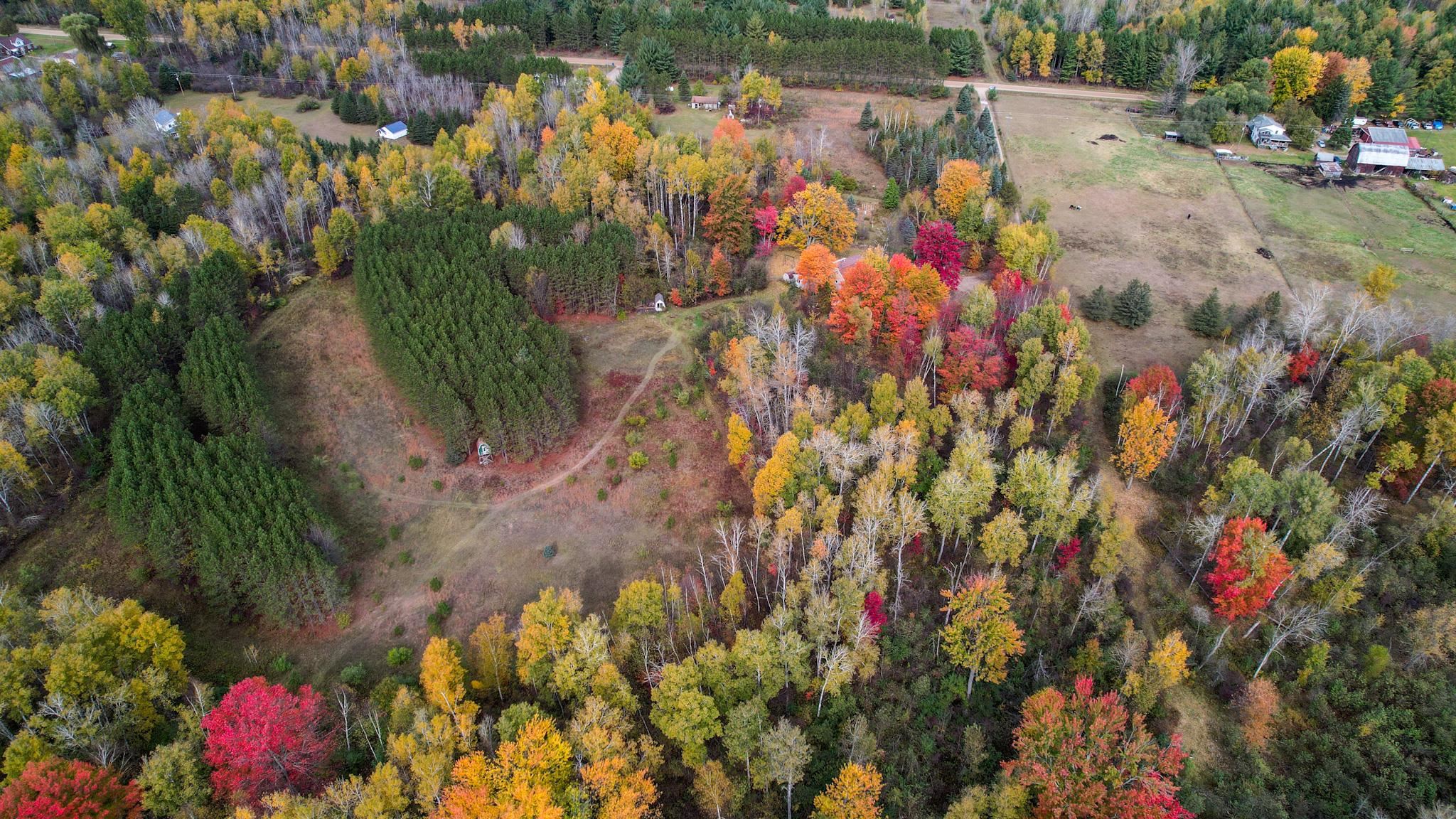 1167 West Sun Oil Road Gladwin, MI 48624 - Photo 72 of 75