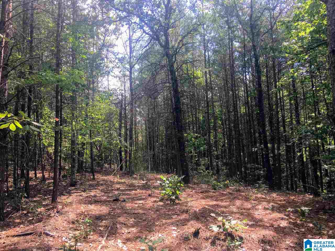 2565 Kentuck Road, Unit 4569 Oxford, AL 36203 - Photo 30 of 46