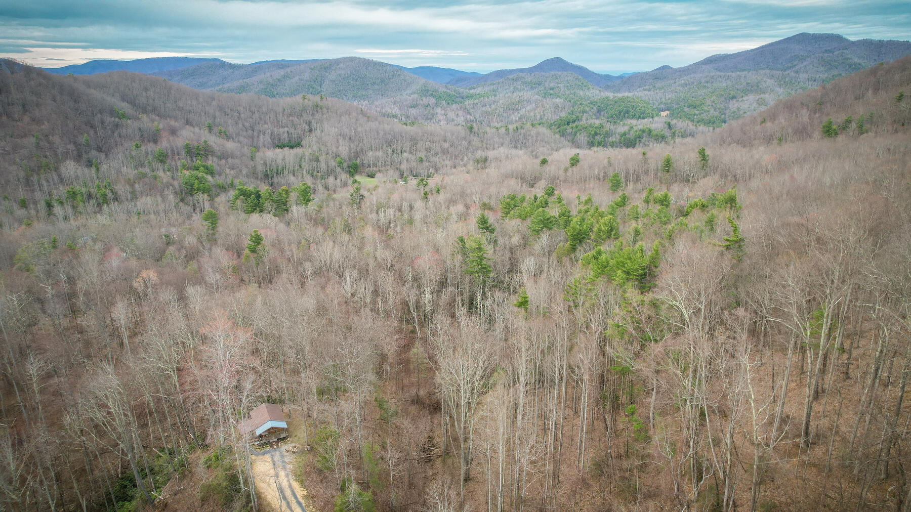 103 Potts Road Erwin, TN 37650 - Photo 11 of 69 104