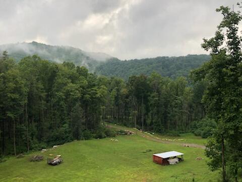 103 Potts Road Erwin, TN 37650 - Photo 67 of 69 IMG_20220413_171226 (8)