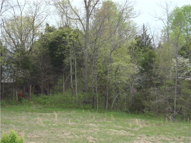 841 Ridgetop Drive Mount Juliet, TN 37122 - Photo 2 of 2 Gallery Image 2
