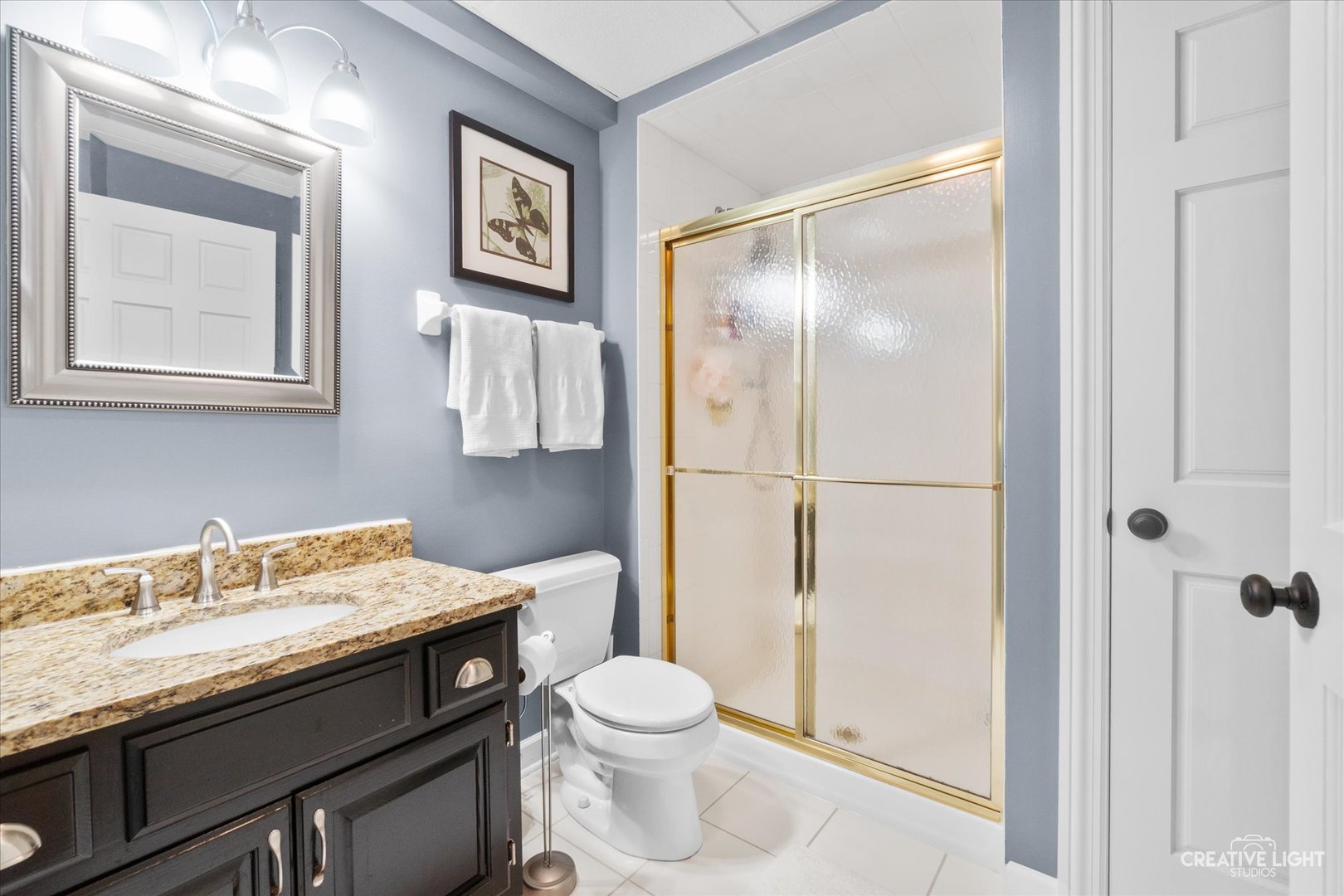 4459 Esquire Circle Naperville, IL 60564 - Photo 46 of 71