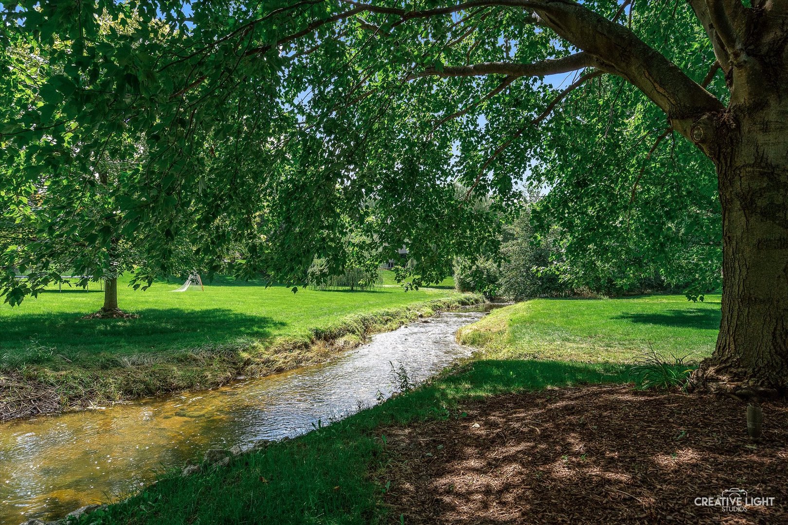 4459 Esquire Circle Naperville, IL 60564 - Photo 54 of 71