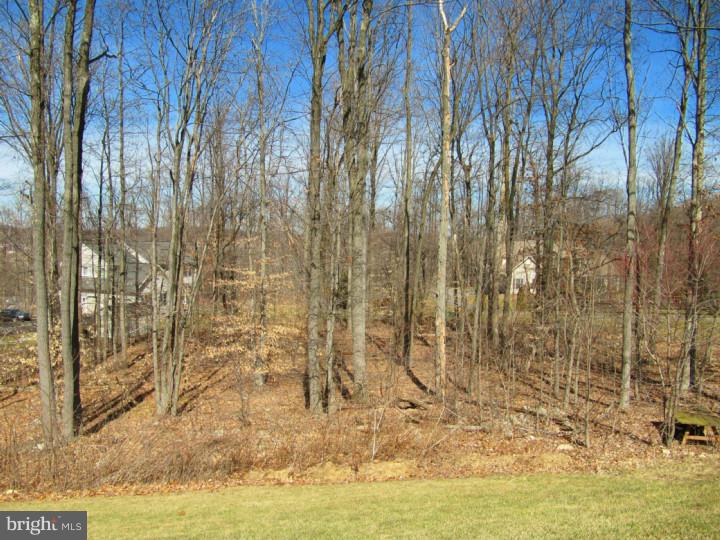44 Hillview Road Morgantown, PA 19543 - Photo 7 of 25 View in Back