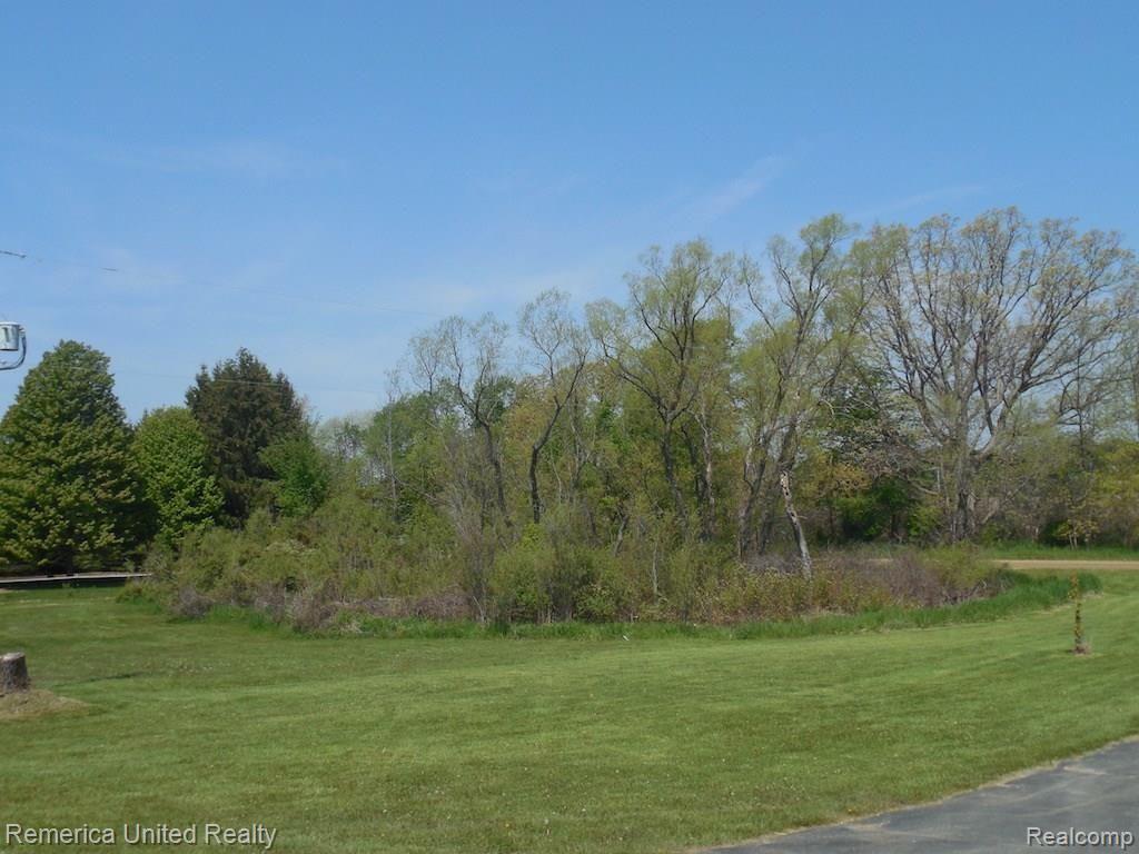 1281 East Jones Road Howell, MI 48855 - Photo 21 of 21 Front Yard View 2