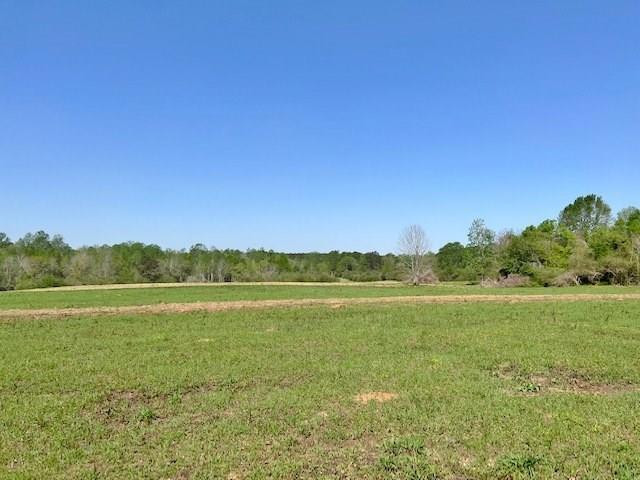 152 Harveytown Road Tylertown, MS 39667 - Photo 1 of 17 Main View