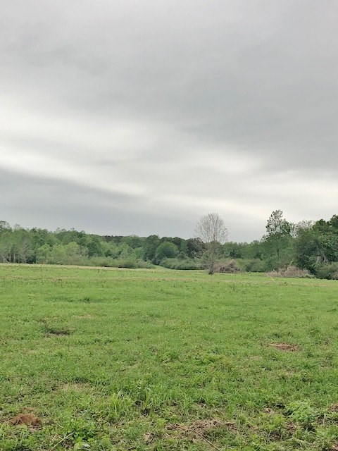 152 Harveytown Road Tylertown, MS 39667 - Photo 11 of 17 Photo 11