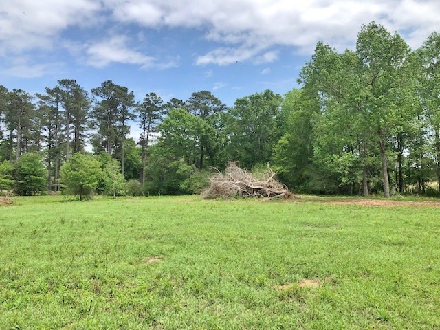 152 Harveytown Road Tylertown, MS 39667 - Photo 12 of 17 Photo 12