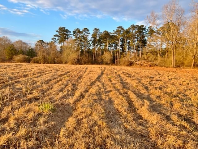 152 Harveytown Road Tylertown, MS 39667 - Photo 16 of 17 Photo 16
