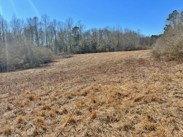 152 Harveytown Road Tylertown, MS 39667 - Photo 17 of 17 Photo 17