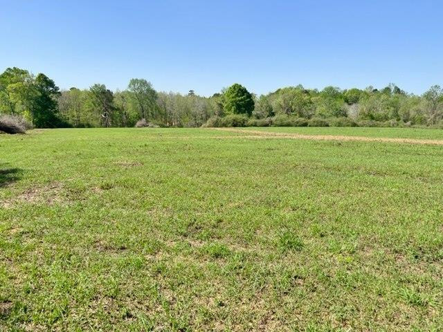 152 Harveytown Road Tylertown, MS 39667 - Photo 2 of 17 Photo 2