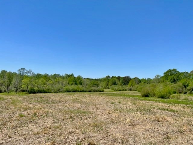 152 Harveytown Road Tylertown, MS 39667 - Photo 3 of 17 Photo 3