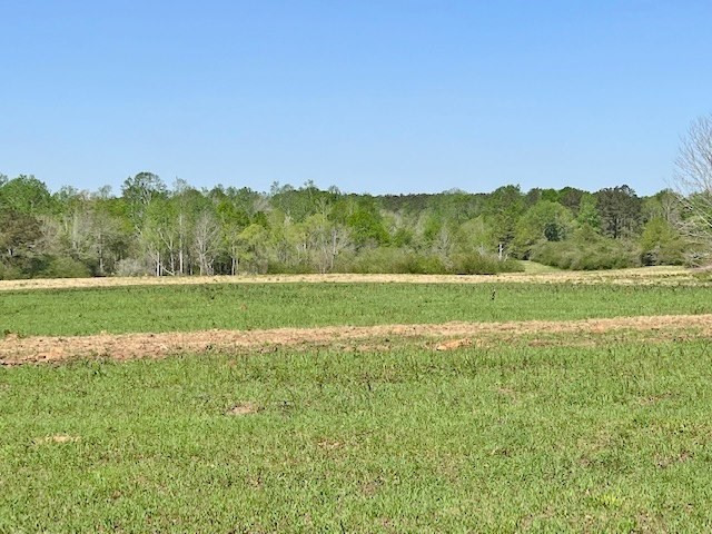 152 Harveytown Road Tylertown, MS 39667 - Photo 4 of 17 Photo 4