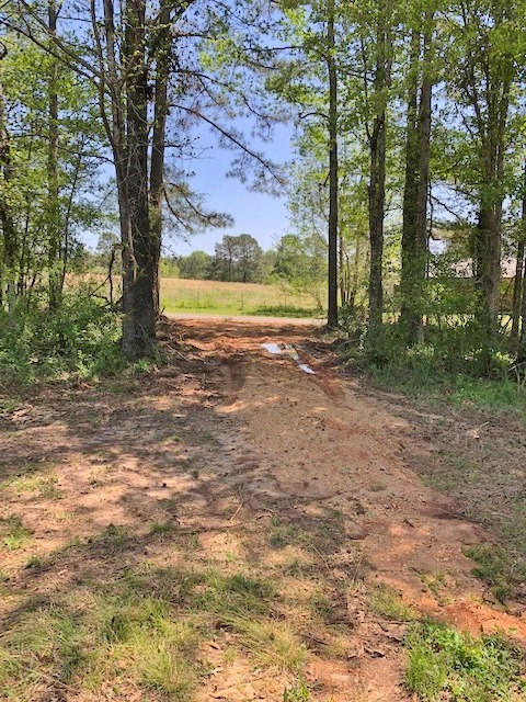 152 Harveytown Road Tylertown, MS 39667 - Photo 5 of 17 Photo 5