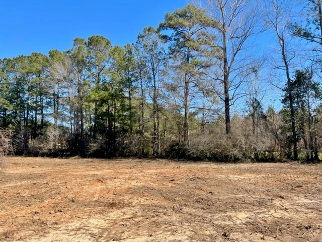 152 Harveytown Road Tylertown, MS 39667 - Photo 7 of 17 Photo 7