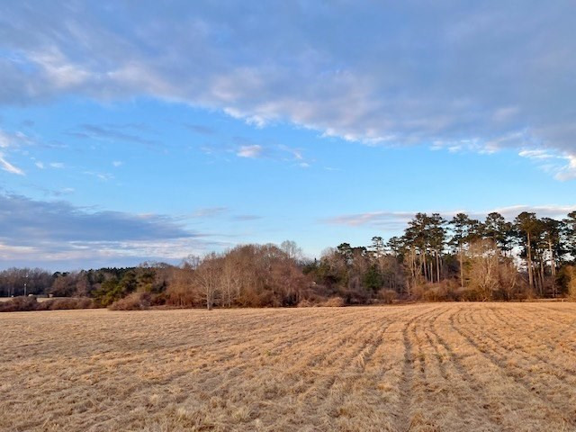 152 Harveytown Road Tylertown, MS 39667 - Photo 8 of 17 Photo 8