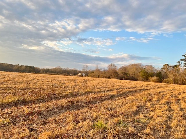 152 Harveytown Road Tylertown, MS 39667 - Photo 9 of 17 Photo 9
