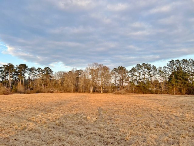 152 Harveytown Road Tylertown, MS 39667 - Photo 10 of 17 Photo 10