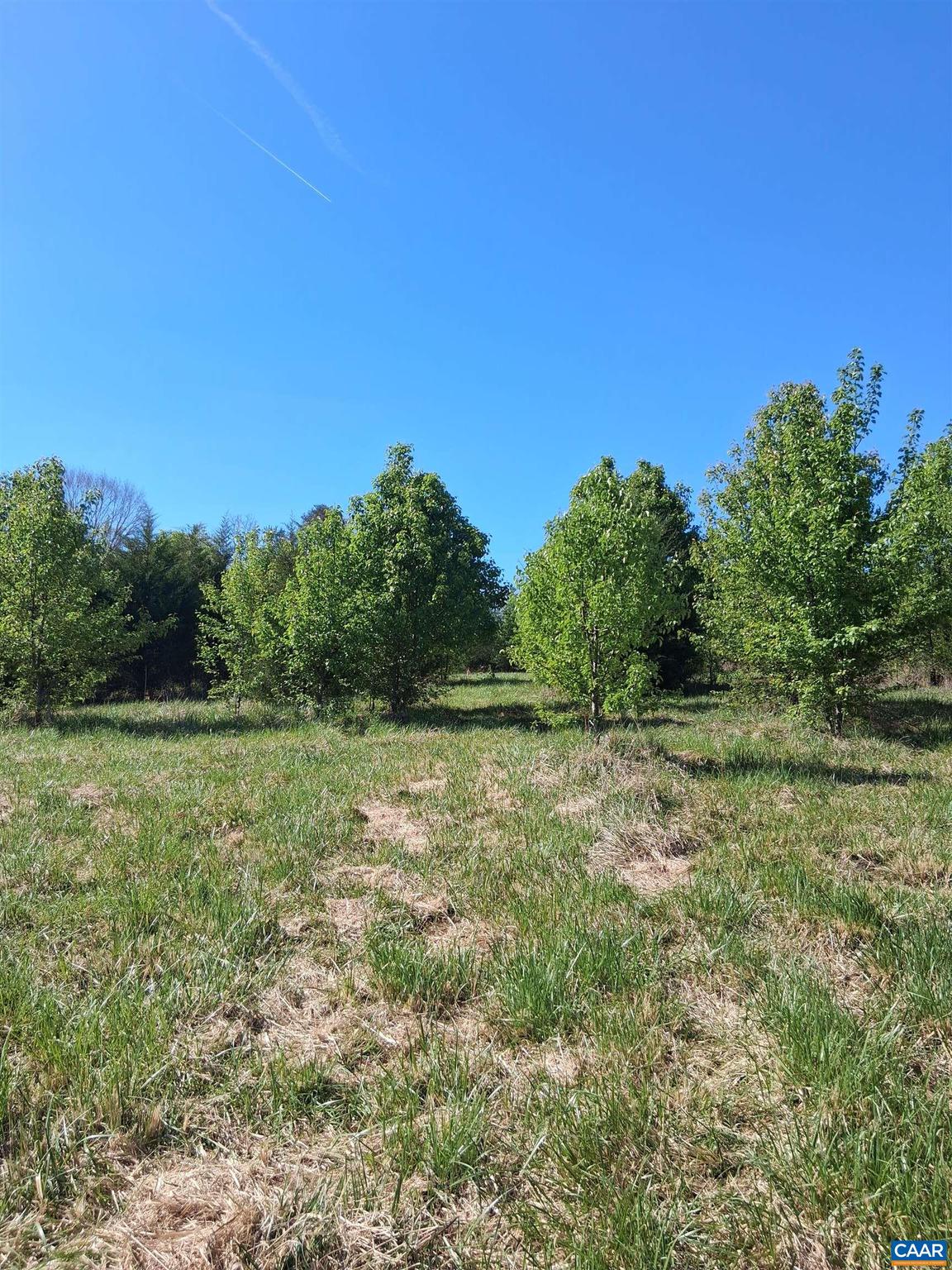 Lot 3 Ridge Road, Unit 3 Palmyra, VA 22963 - Photo 19 of 20 Gallery Image 19