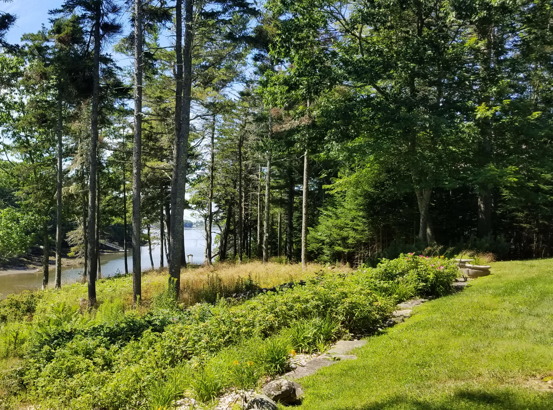 32 Drebelbis Point Road Pemaquid, ME 04558 - Photo 6 of 43 1-Yard-View Southwest-1-1280