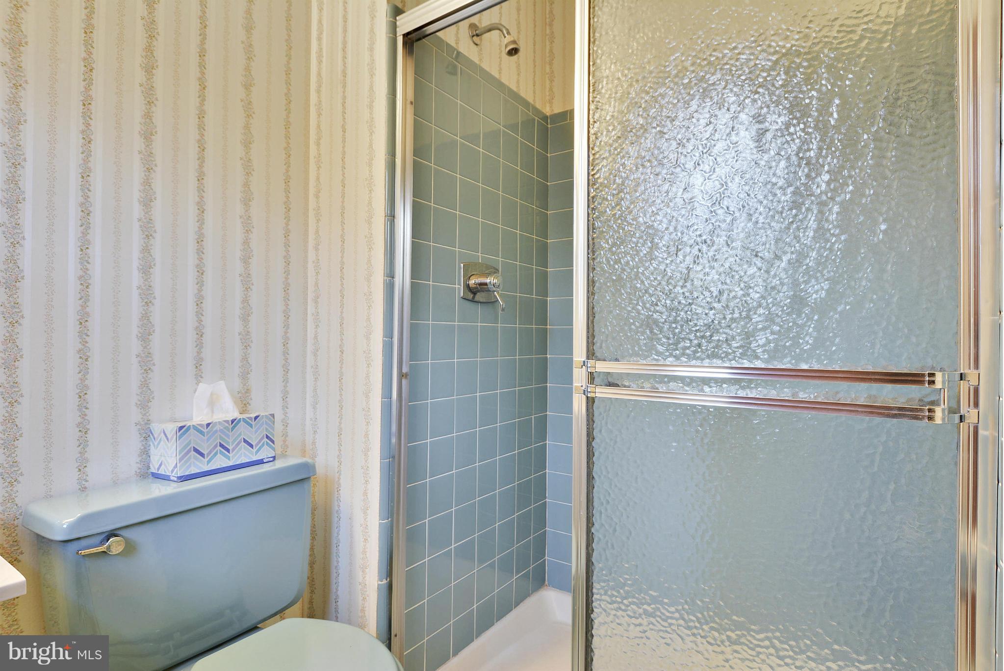 213 Hermleigh Road Silver Spring, MD 20902 - Photo 14 of 30 Bath (Master)