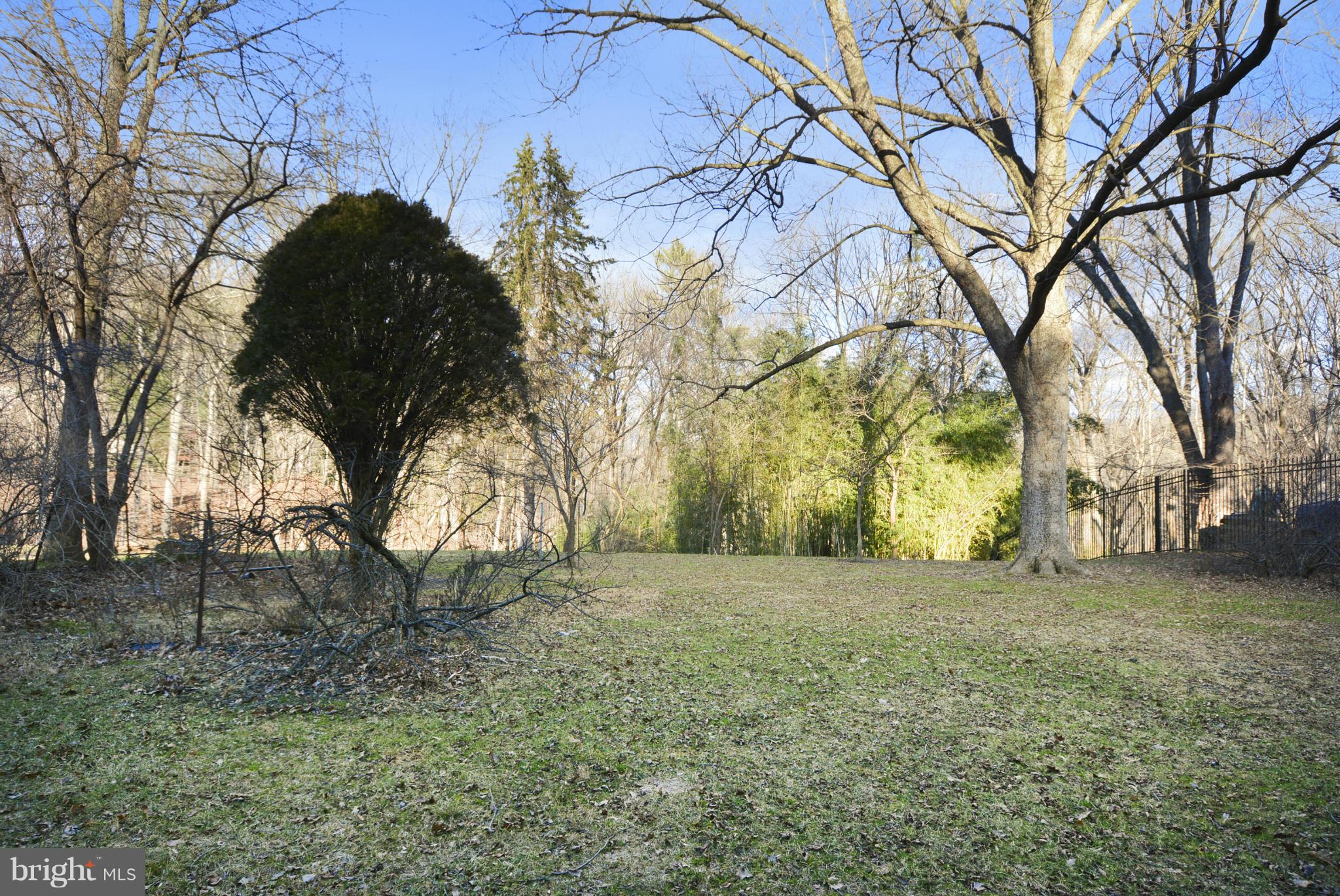 213 Hermleigh Road Silver Spring, MD 20902 - Photo 27 of 30 View from Back