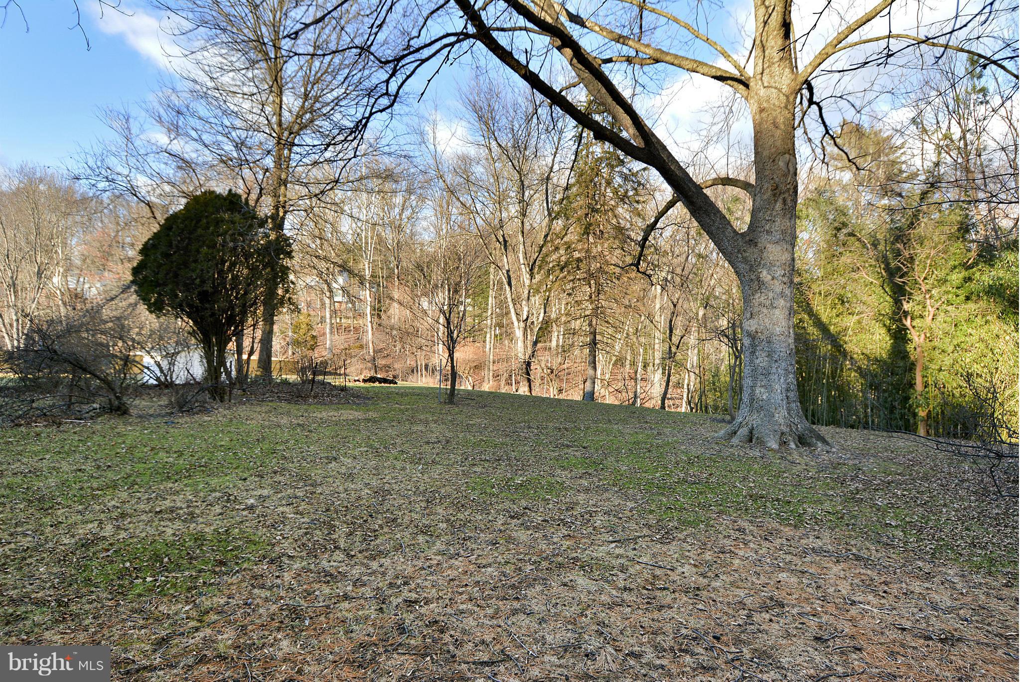 213 Hermleigh Road Silver Spring, MD 20902 - Photo 28 of 30 Back Yard