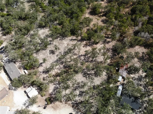 a view of a forest with lots of trees