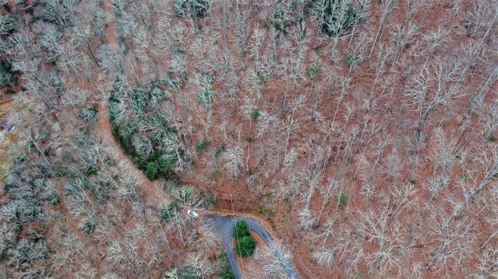 333 Favor Rabun Gap, GA 30568 - Photo 14 of 97