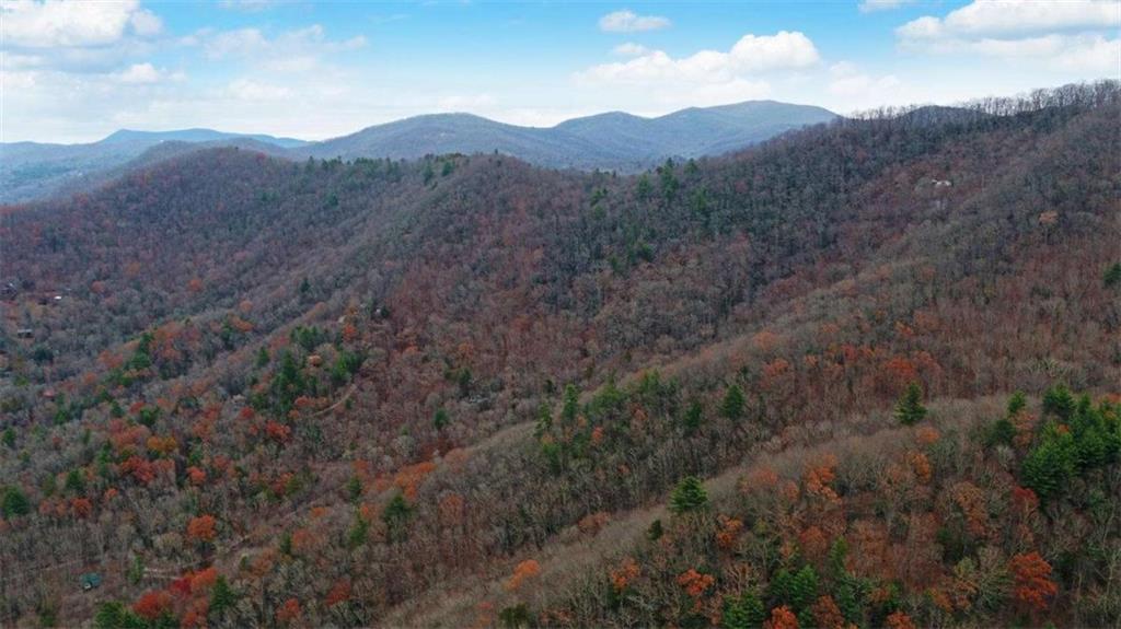 333 Favor Rabun Gap, GA 30568 - Photo 15 of 97