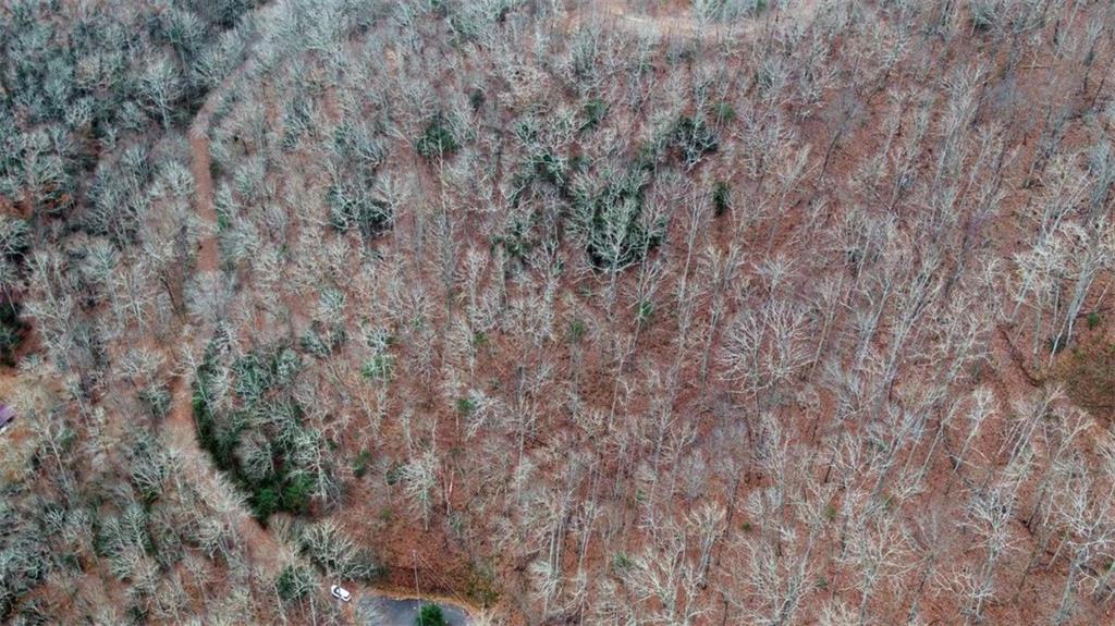 333 Favor Rabun Gap, GA 30568 - Photo 16 of 97 a view of a dry yard