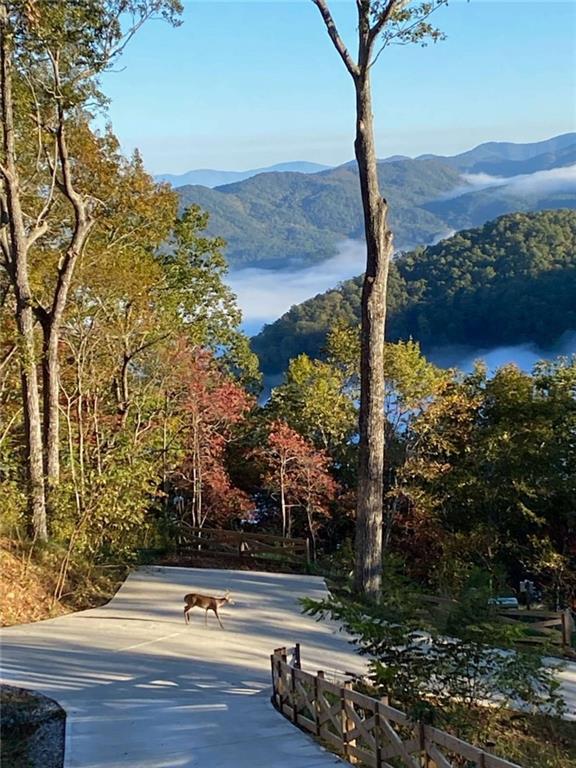 333 Favor Rabun Gap, GA 30568 - Photo 18 of 97